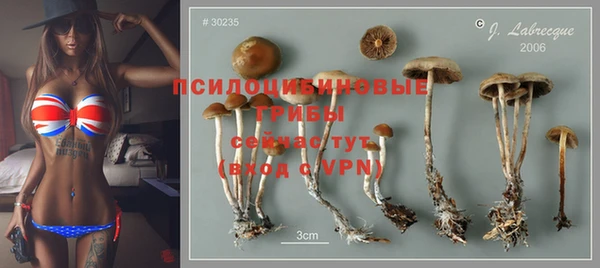 альфа пвп Володарск